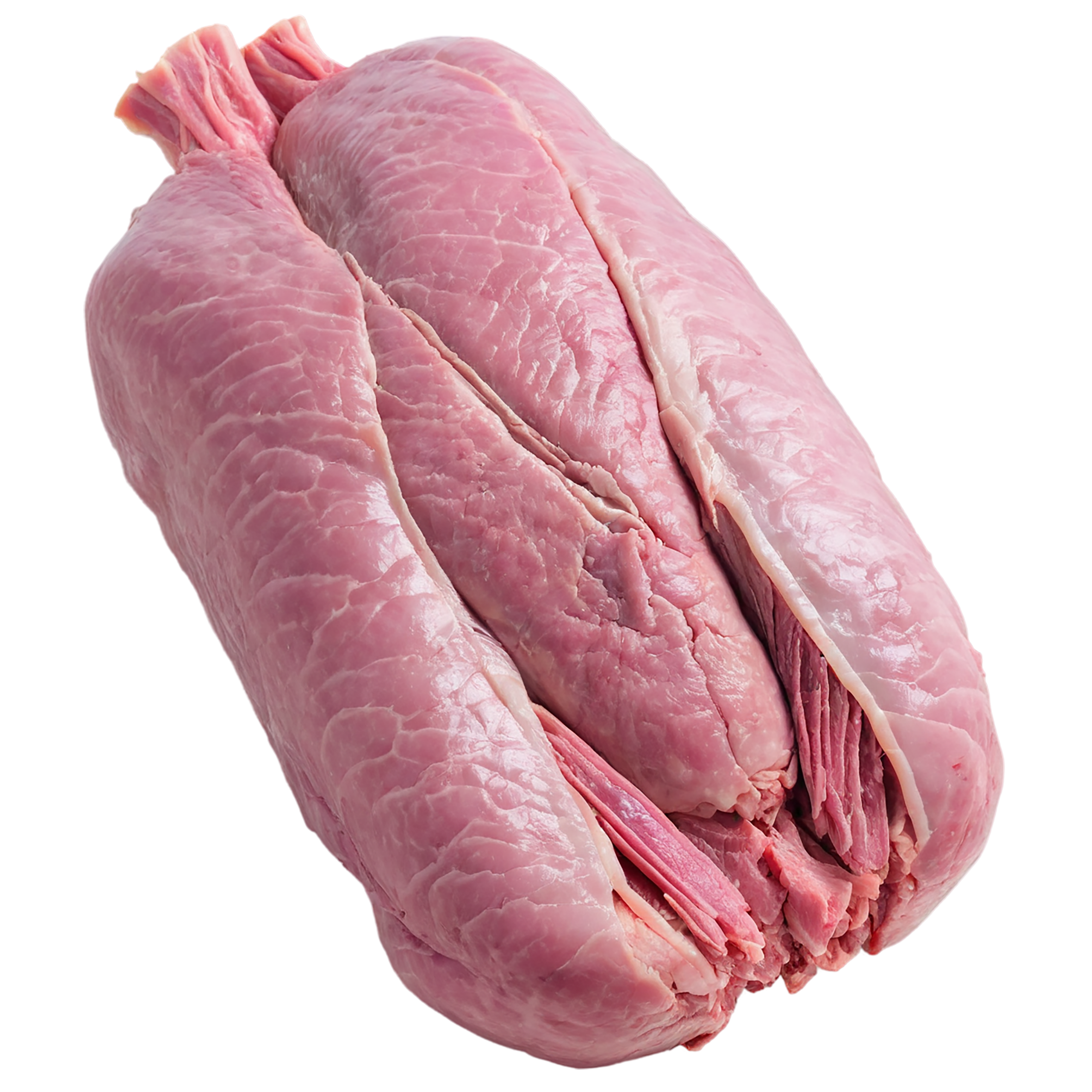 Turkey proteins isolated on transparent background #8769