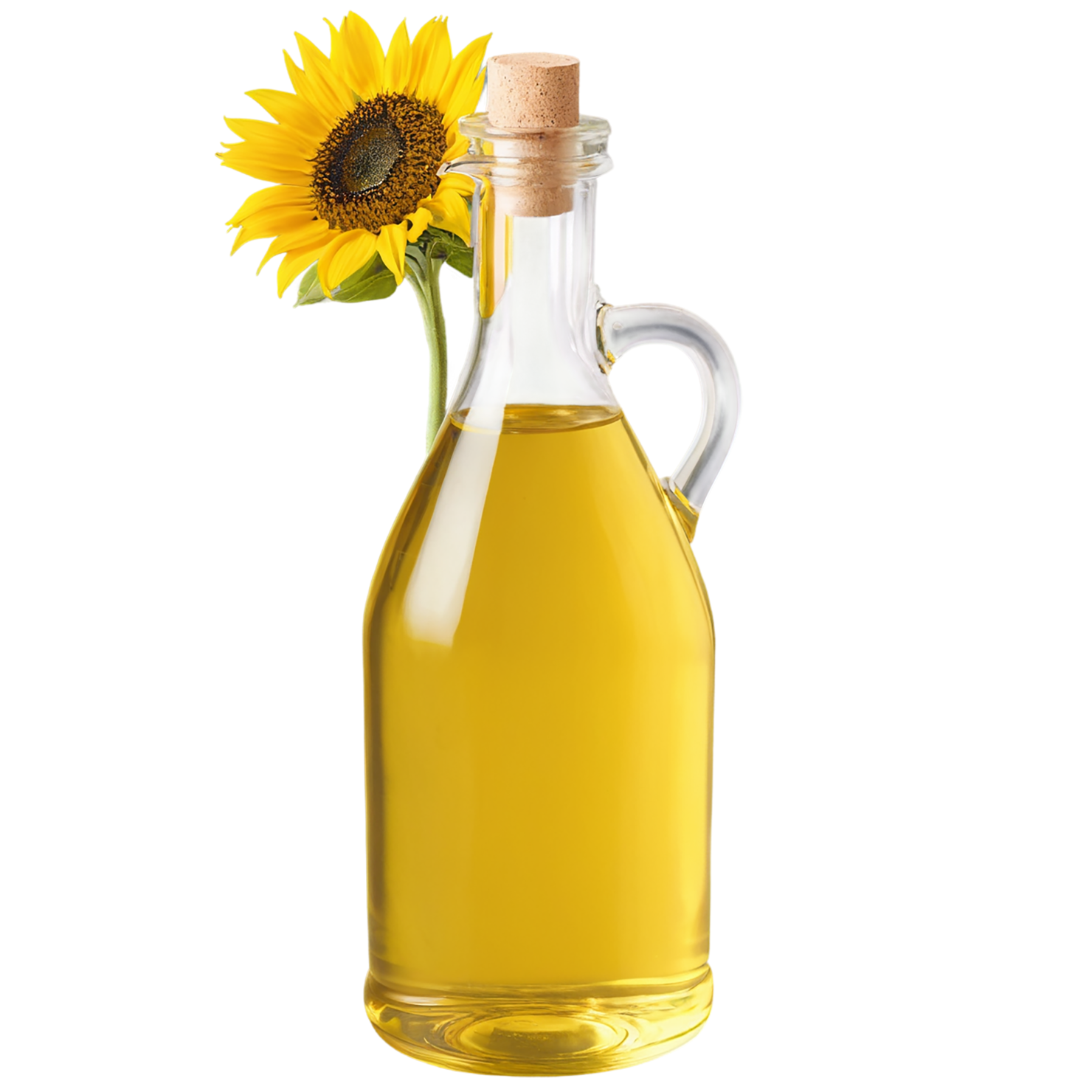 Sunflower oil isolated on transparent background #7995