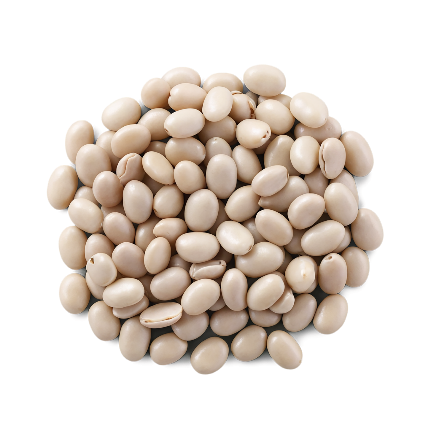 Beans proteins isolated on transparent background #8096