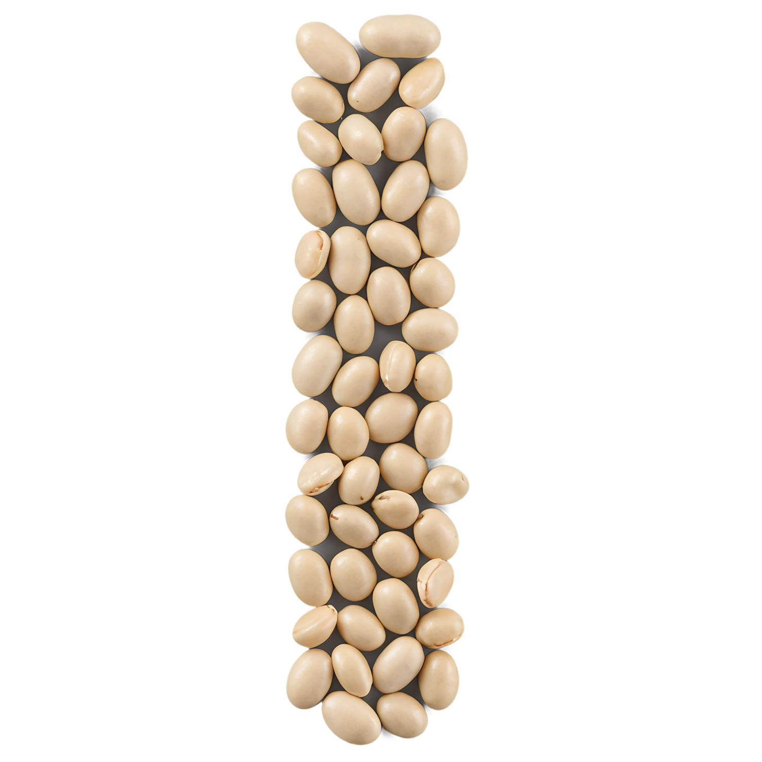 Beans proteins isolated on transparent background #8098