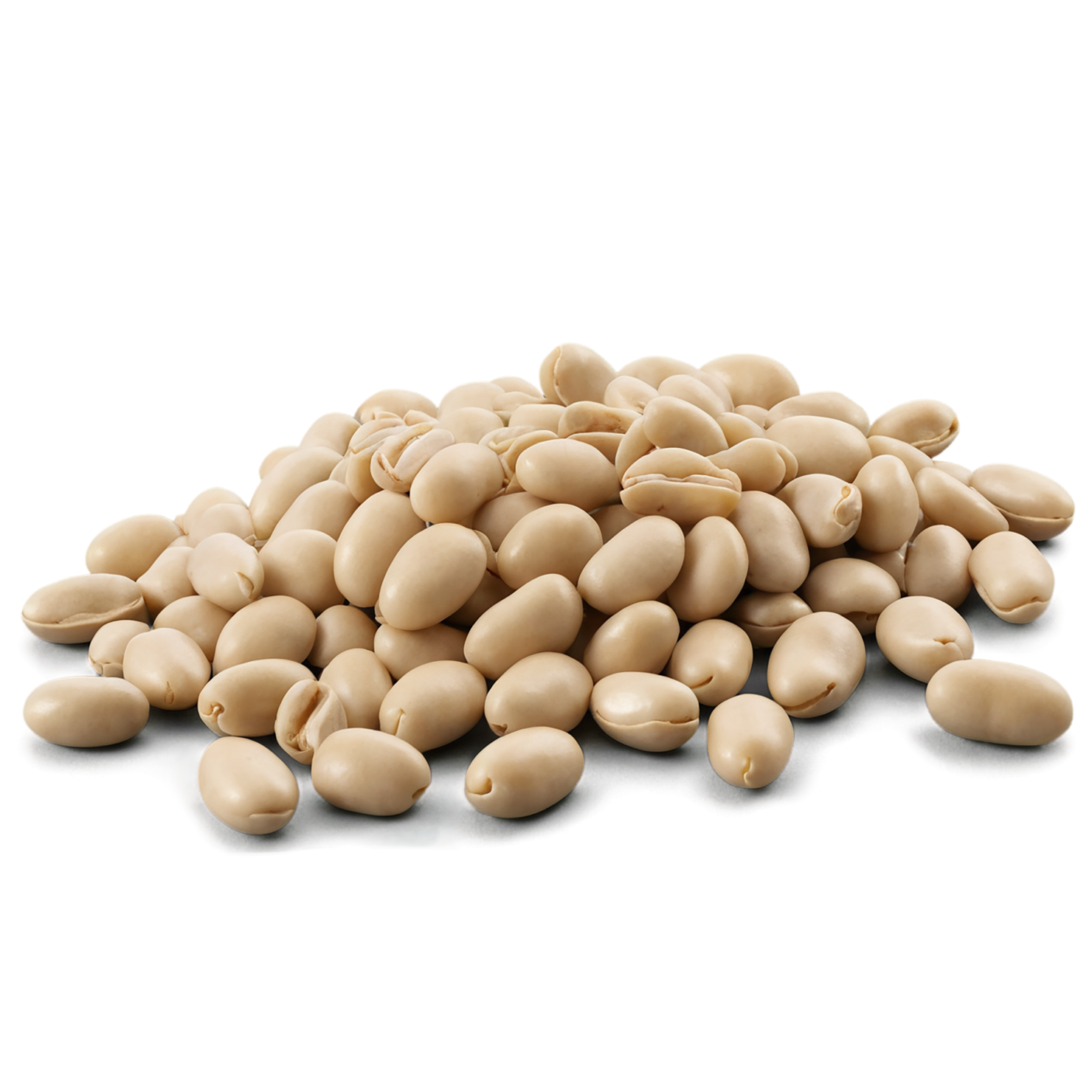 Beans proteins isolated on transparent background #8099