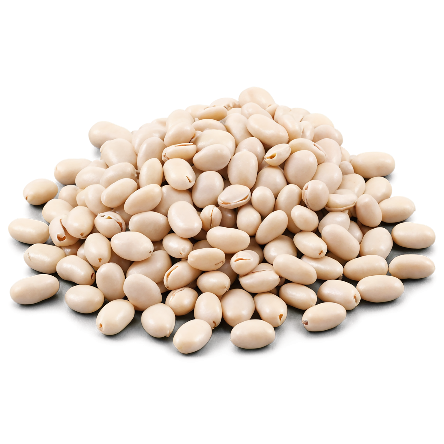 Beans proteins isolated on transparent background #8100