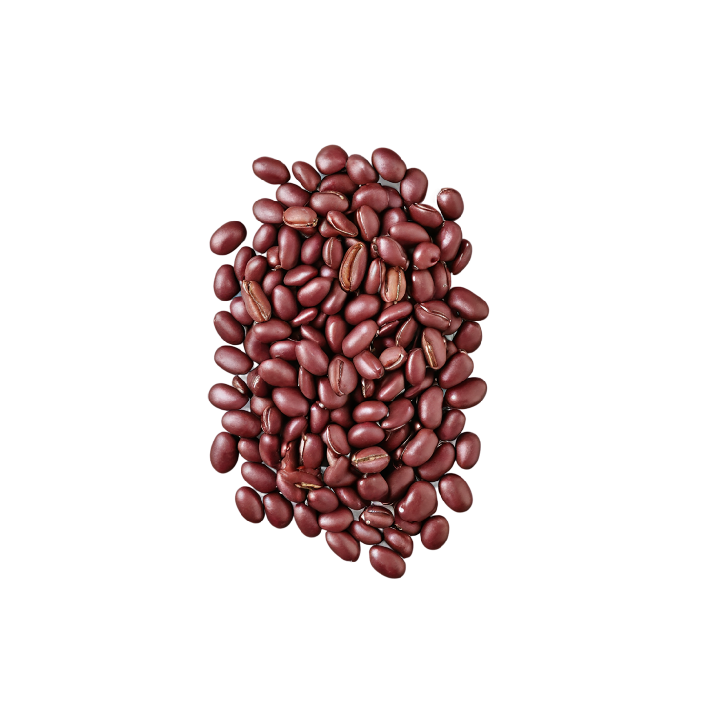 Beans proteins isolated on transparent background #8102