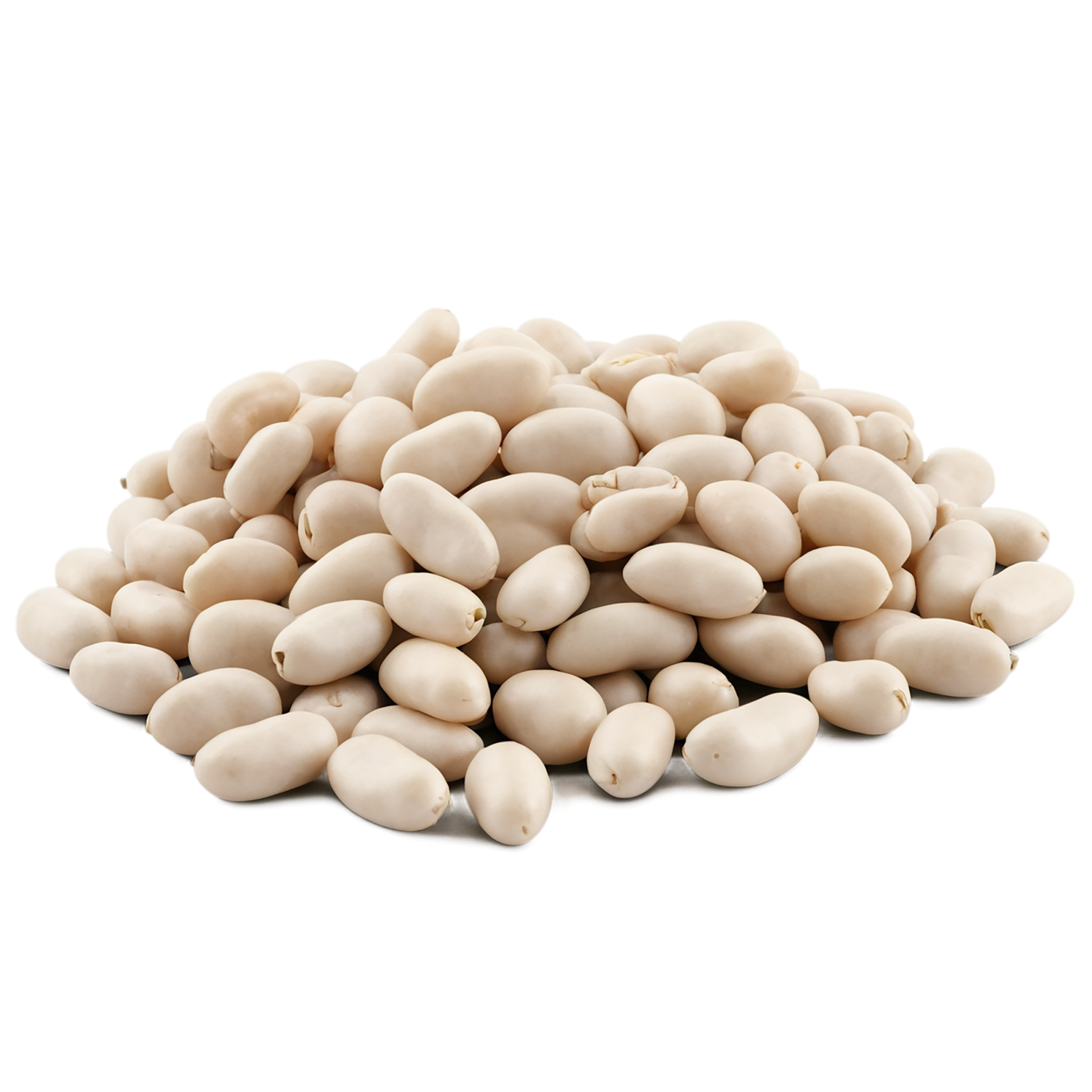 Beans proteins isolated on transparent background #8103