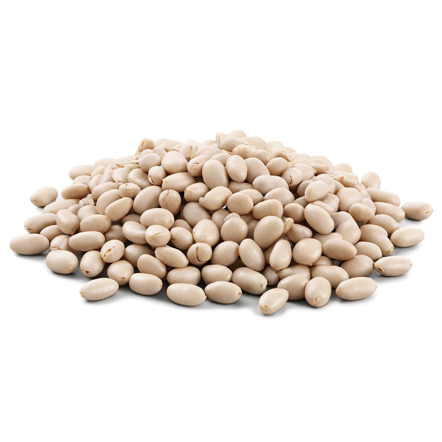 Beans proteins isolated on transparent background #8106