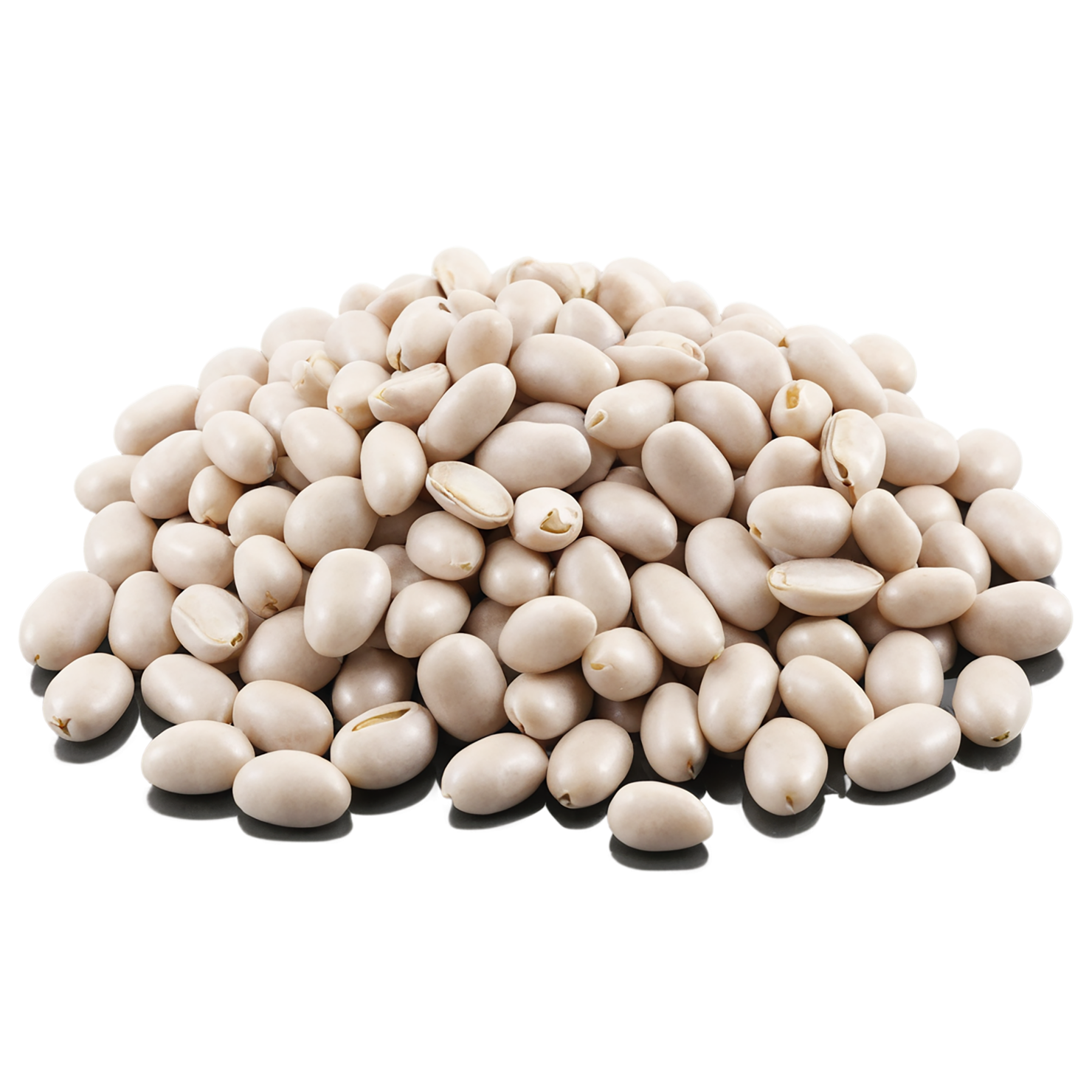 Beans proteins isolated on transparent background #8107