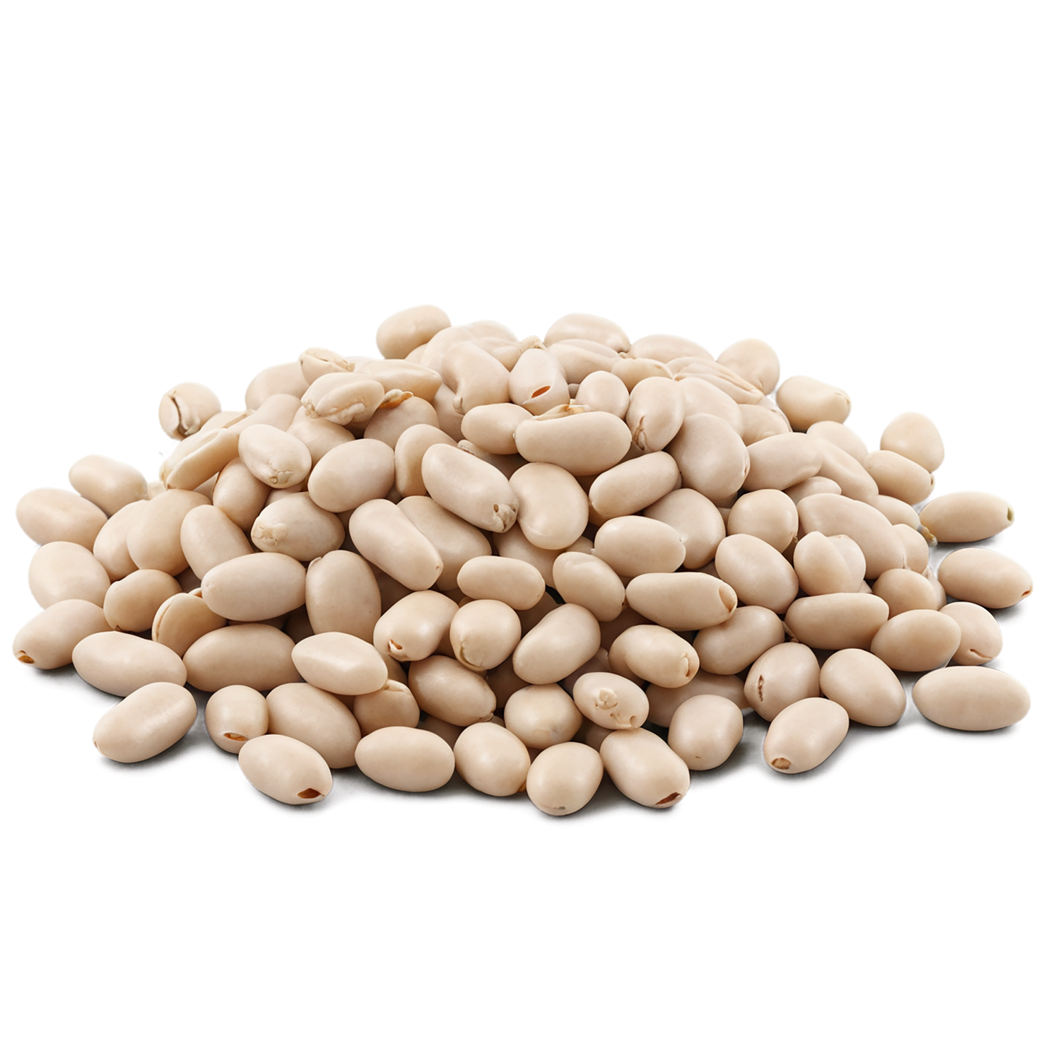 Beans proteins isolated on transparent background #8108