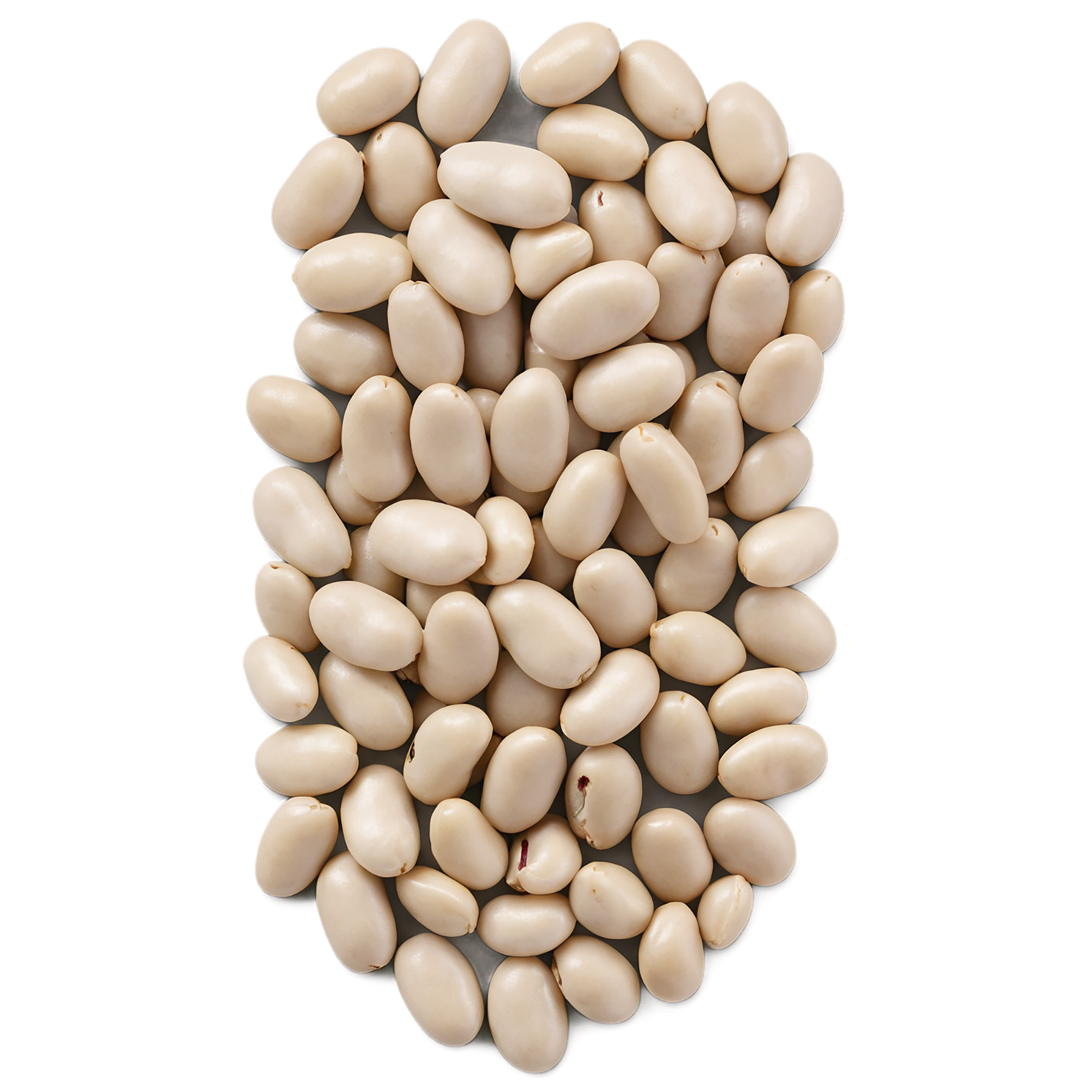 Beans proteins isolated on transparent background #8110