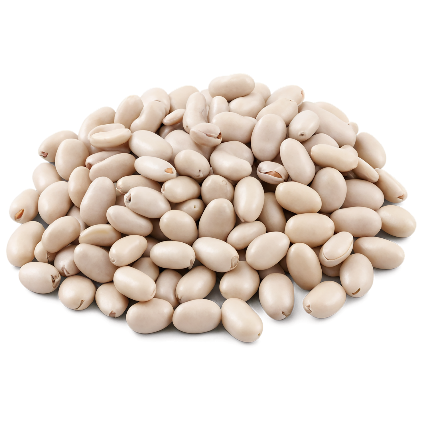 Beans proteins isolated on transparent background #8111