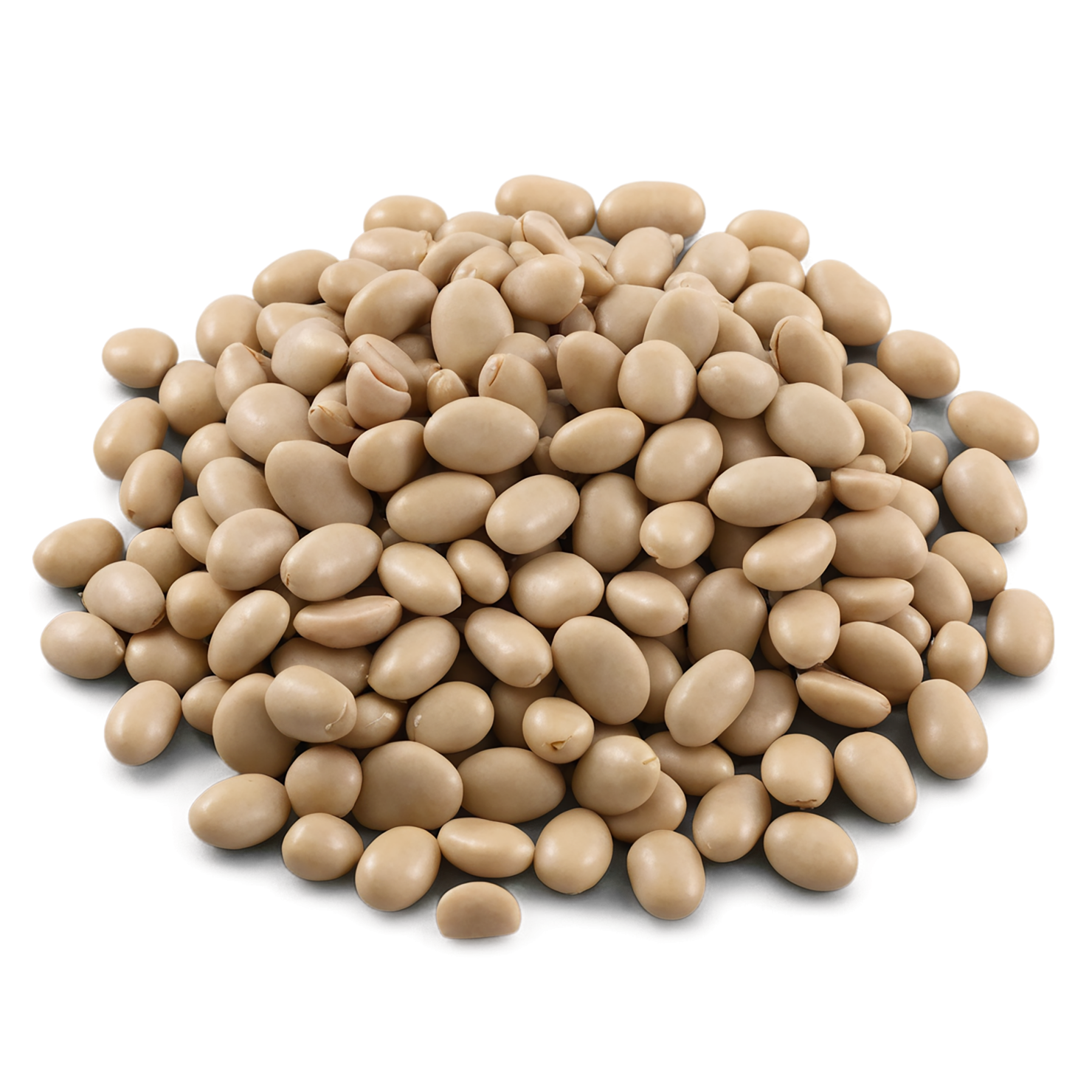 Beans proteins isolated on transparent background #8112