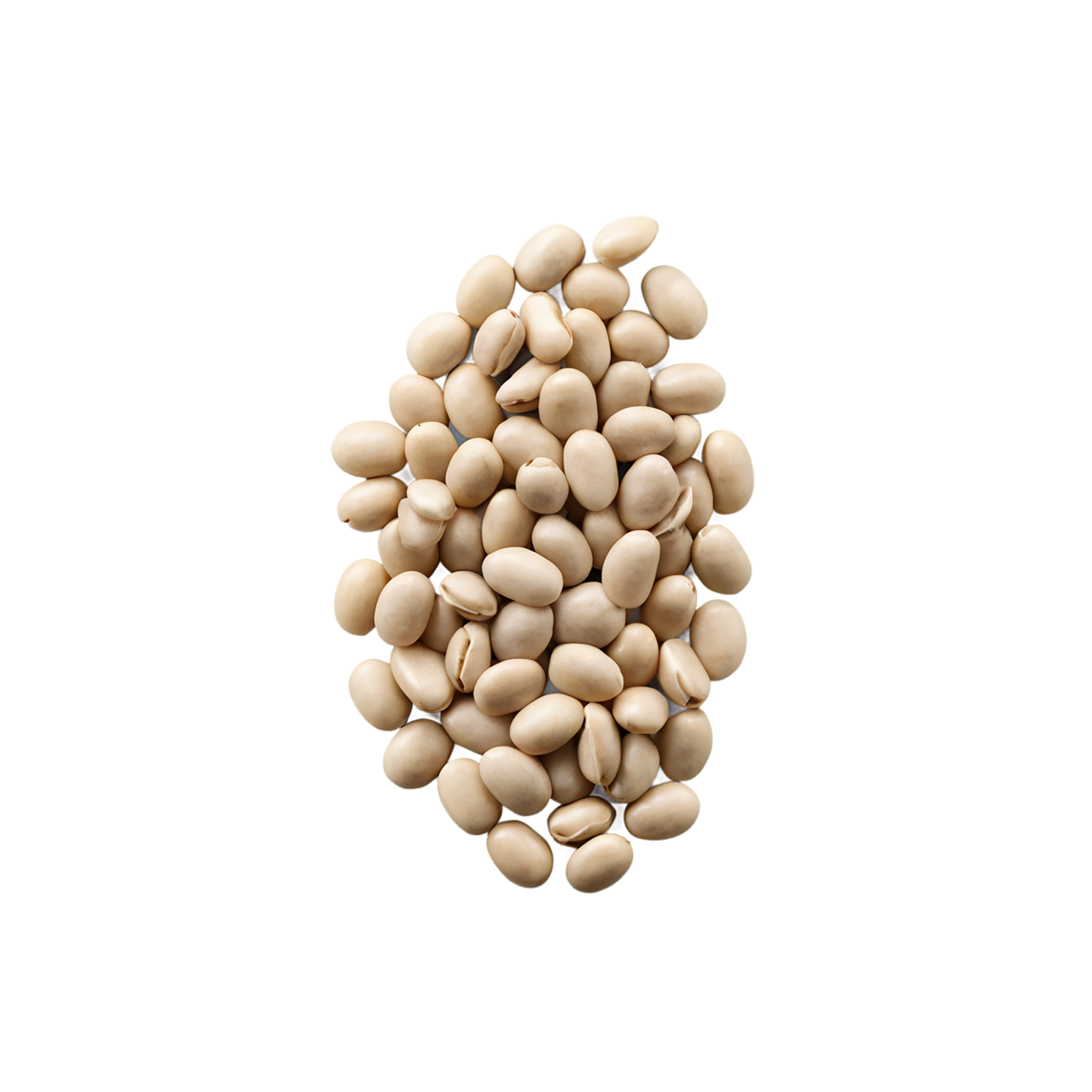 Beans proteins isolated on transparent background #8113