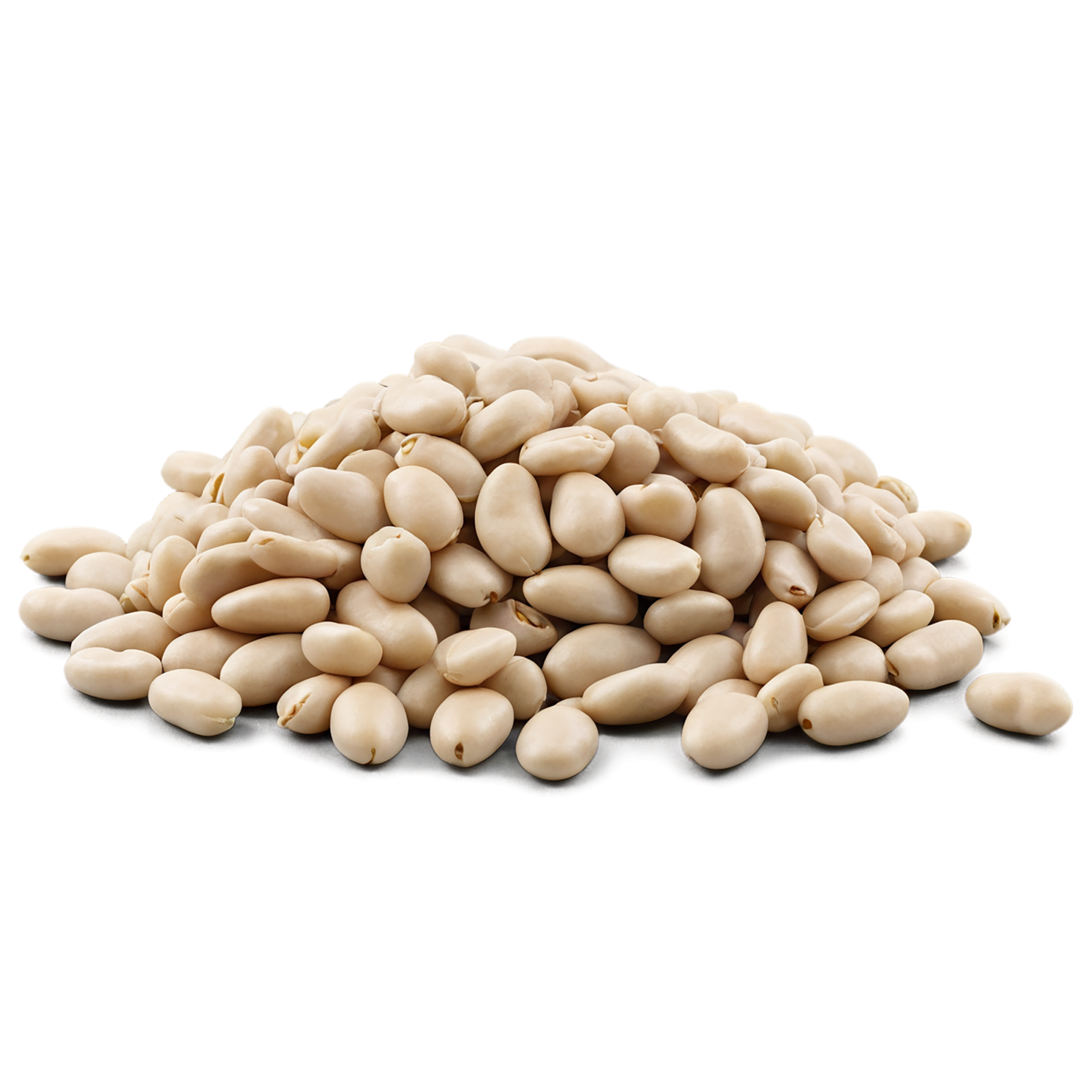 Beans proteins isolated on transparent background #8114