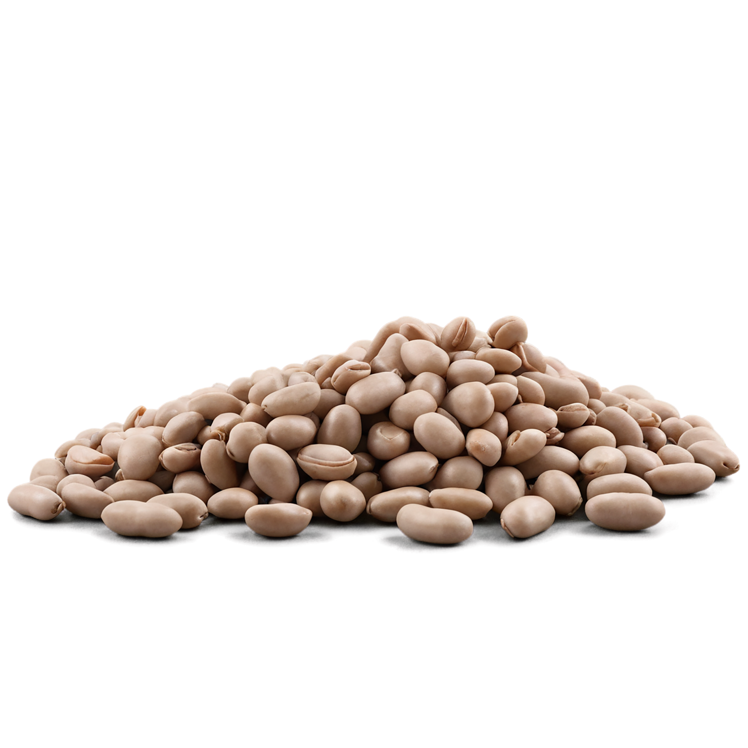 Beans proteins isolated on transparent background #8116