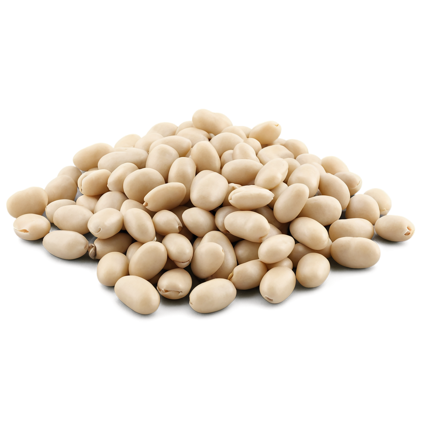 Beans proteins isolated on transparent background #8117