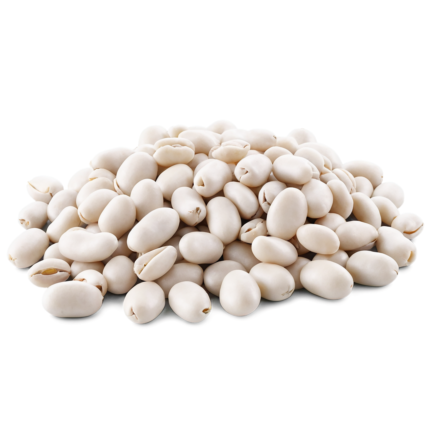 Beans proteins isolated on transparent background #8118
