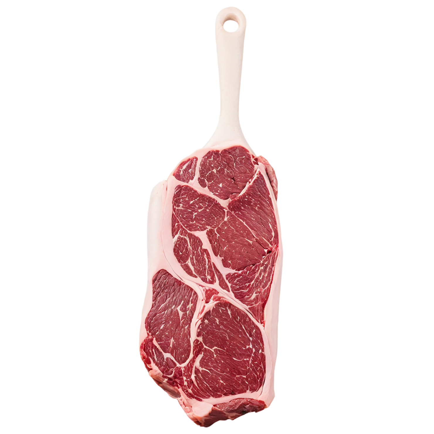 Beef proteins isolated on transparent background #8145