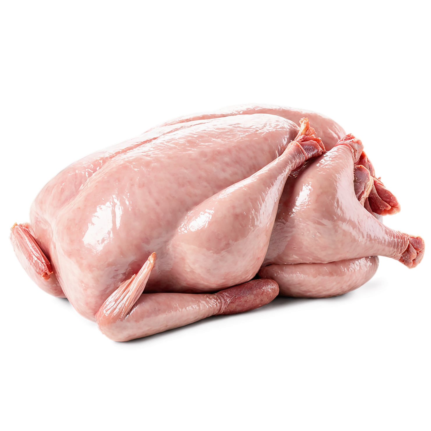 Chicken poultry proteins isolated on transparent background #8215