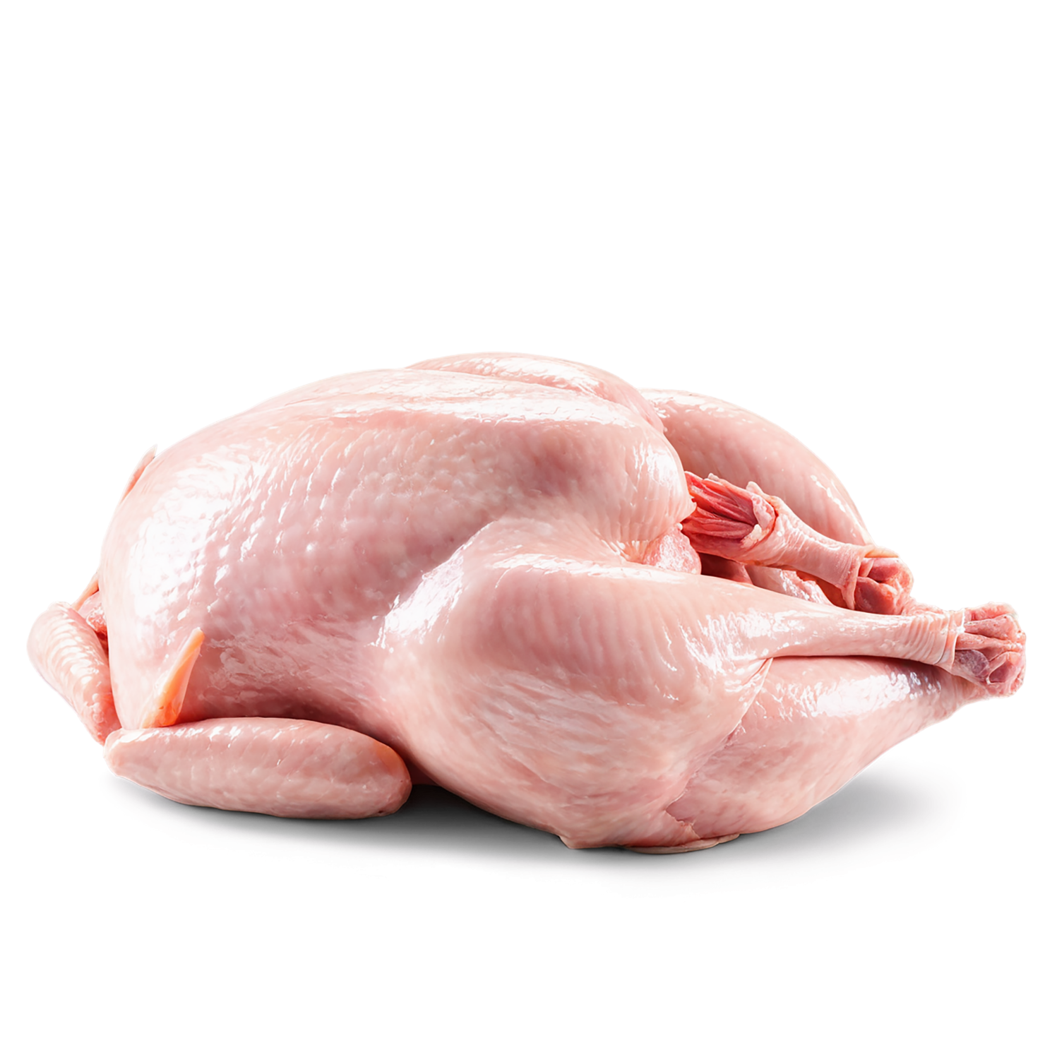 Chicken poultry proteins isolated on transparent background #8217