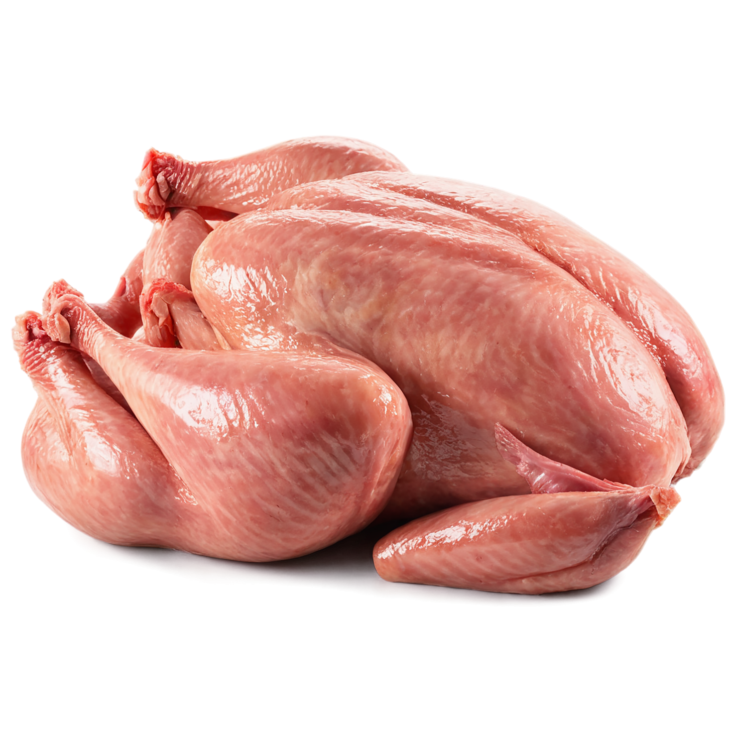 Chicken poultry proteins isolated on transparent background #8218