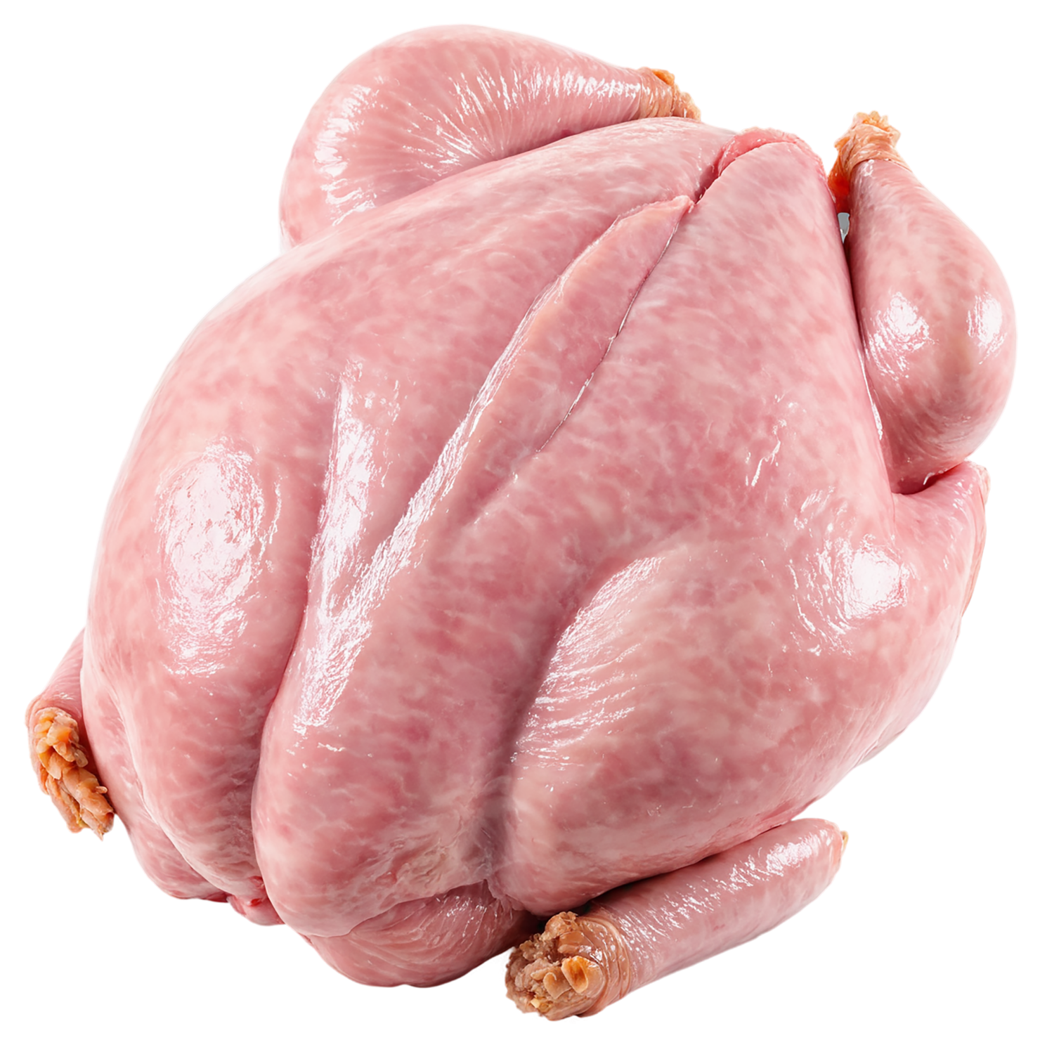 Chicken poultry proteins isolated on transparent background #8220
