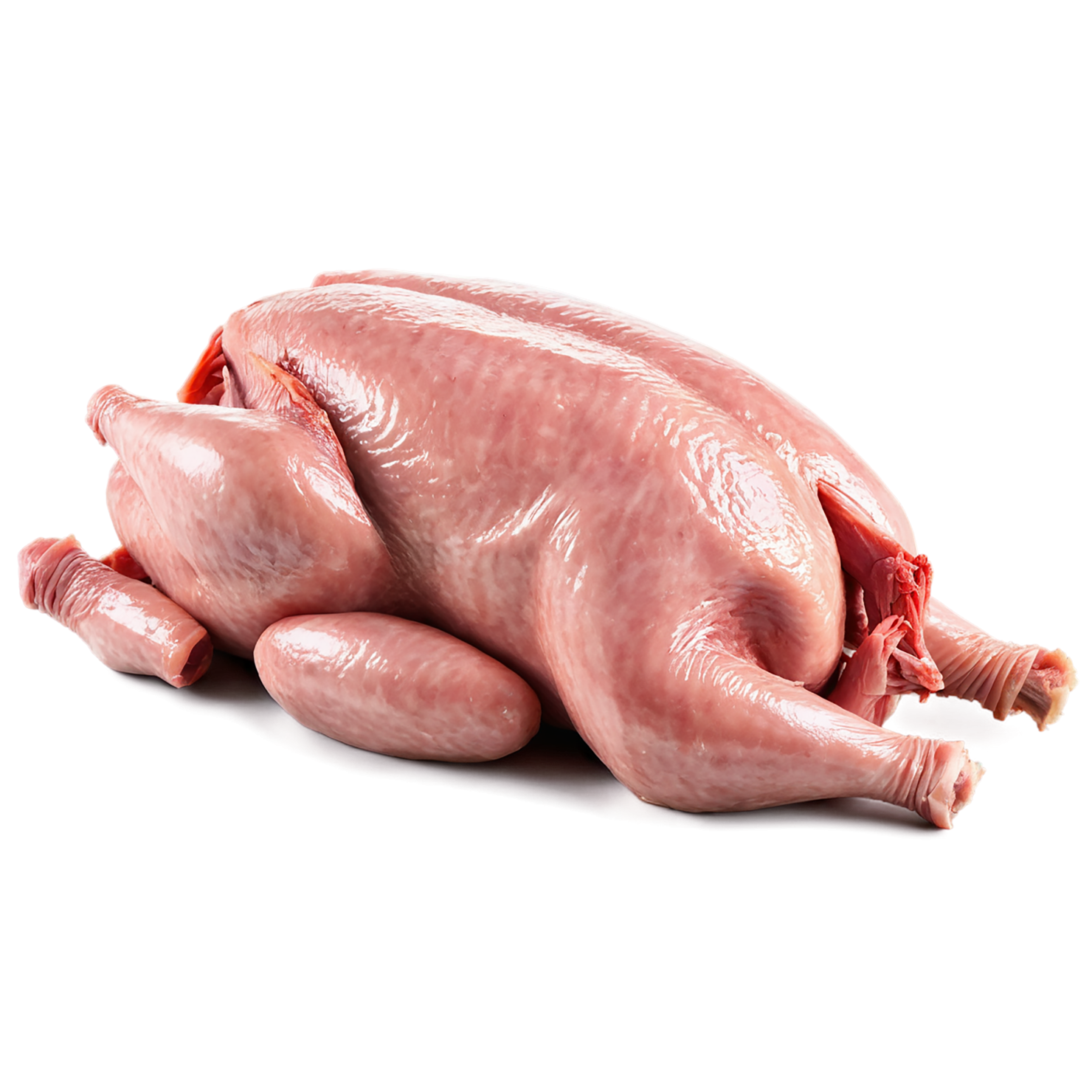 Chicken poultry proteins isolated on transparent background #8221