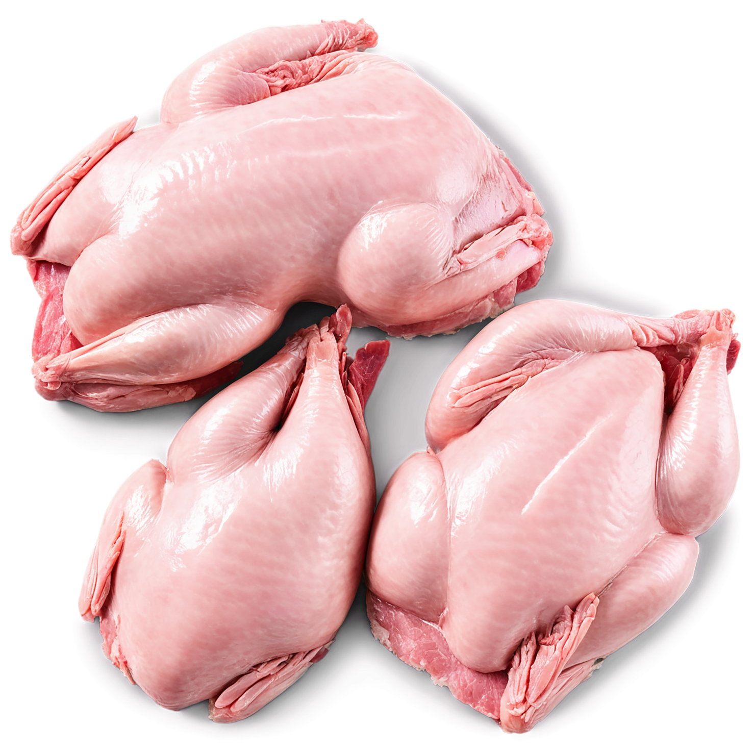 Chicken poultry proteins isolated on transparent background #8222