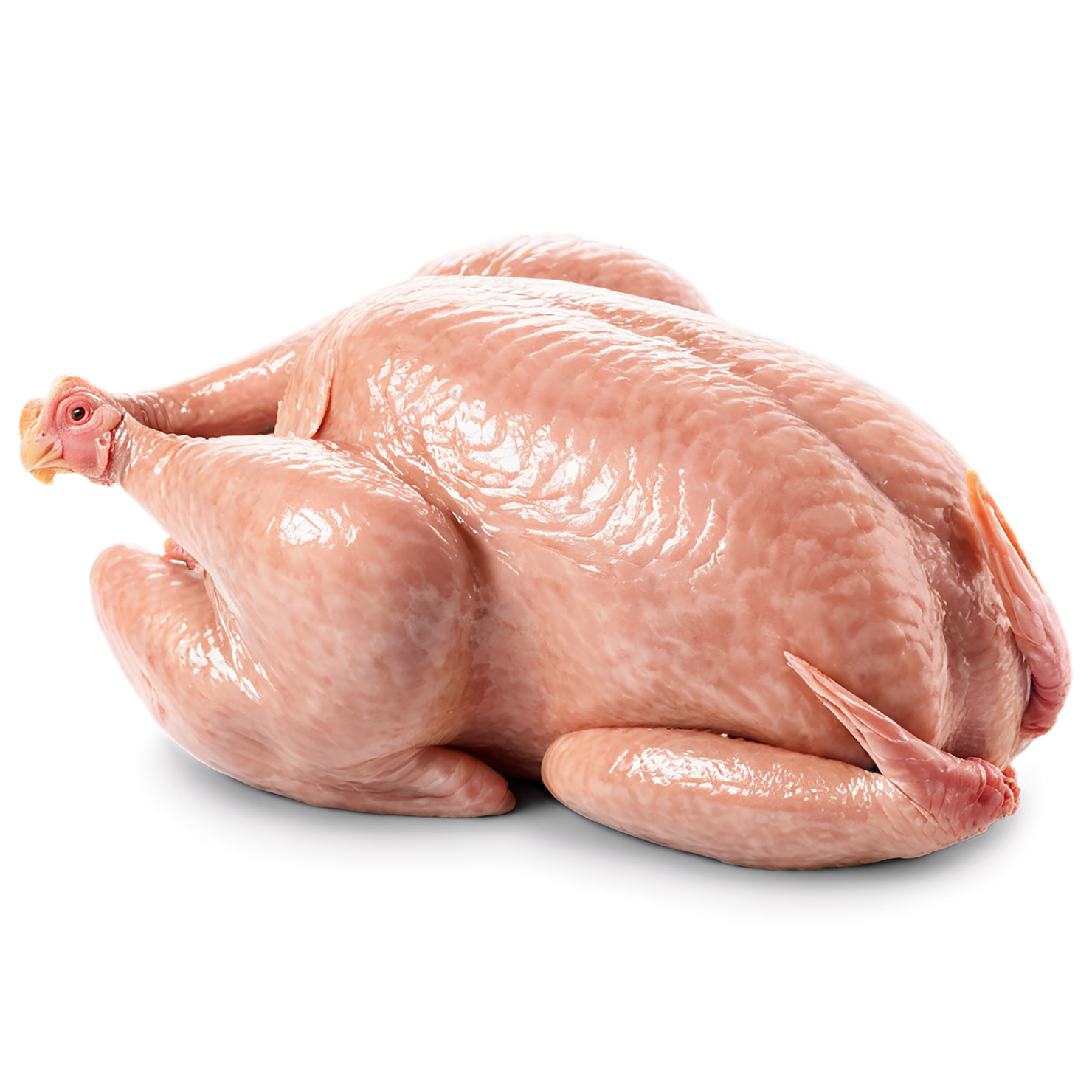 Chicken poultry proteins isolated on transparent background #8223