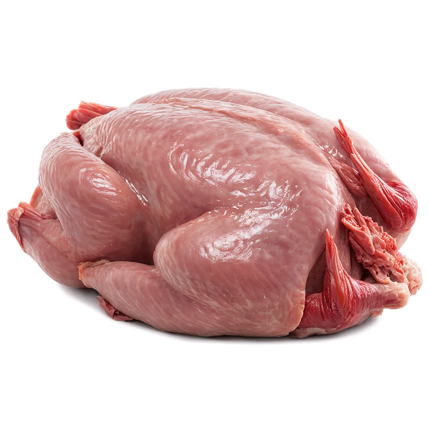 Chicken poultry proteins isolated on transparent background #8224