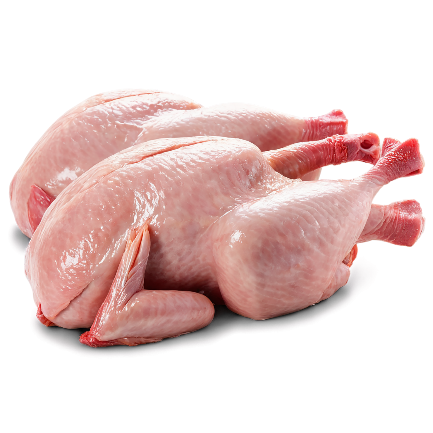 Chicken poultry proteins isolated on transparent background #8225