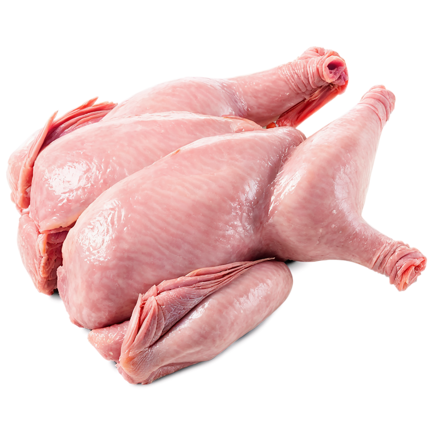 Chicken poultry proteins isolated on transparent background #8229