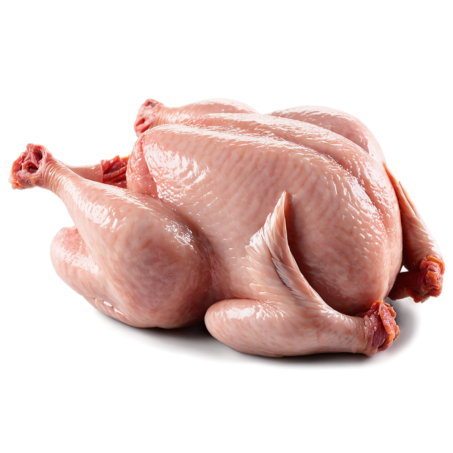 Chicken poultry proteins isolated on transparent background #8230