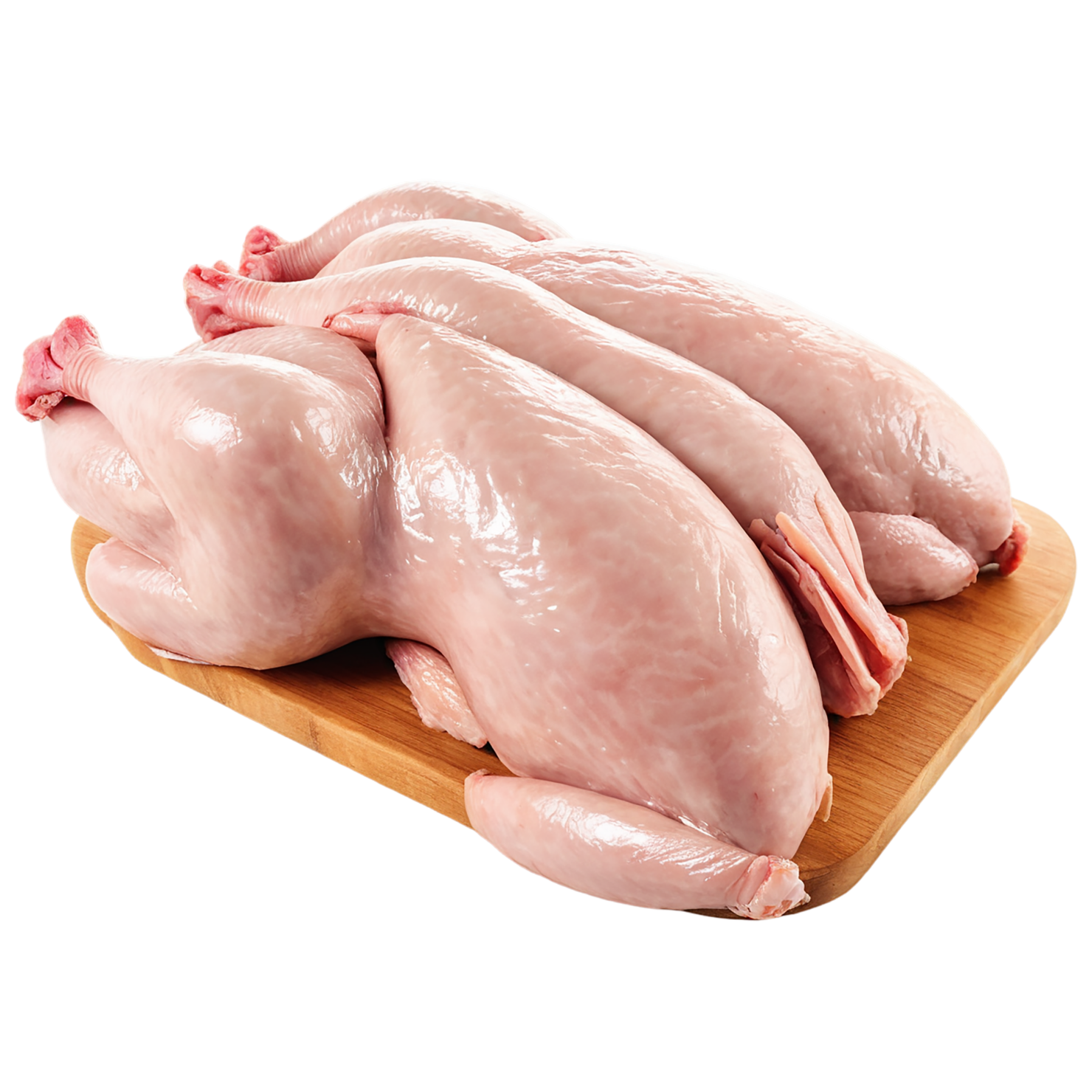 Chicken poultry proteins isolated on transparent background #8232