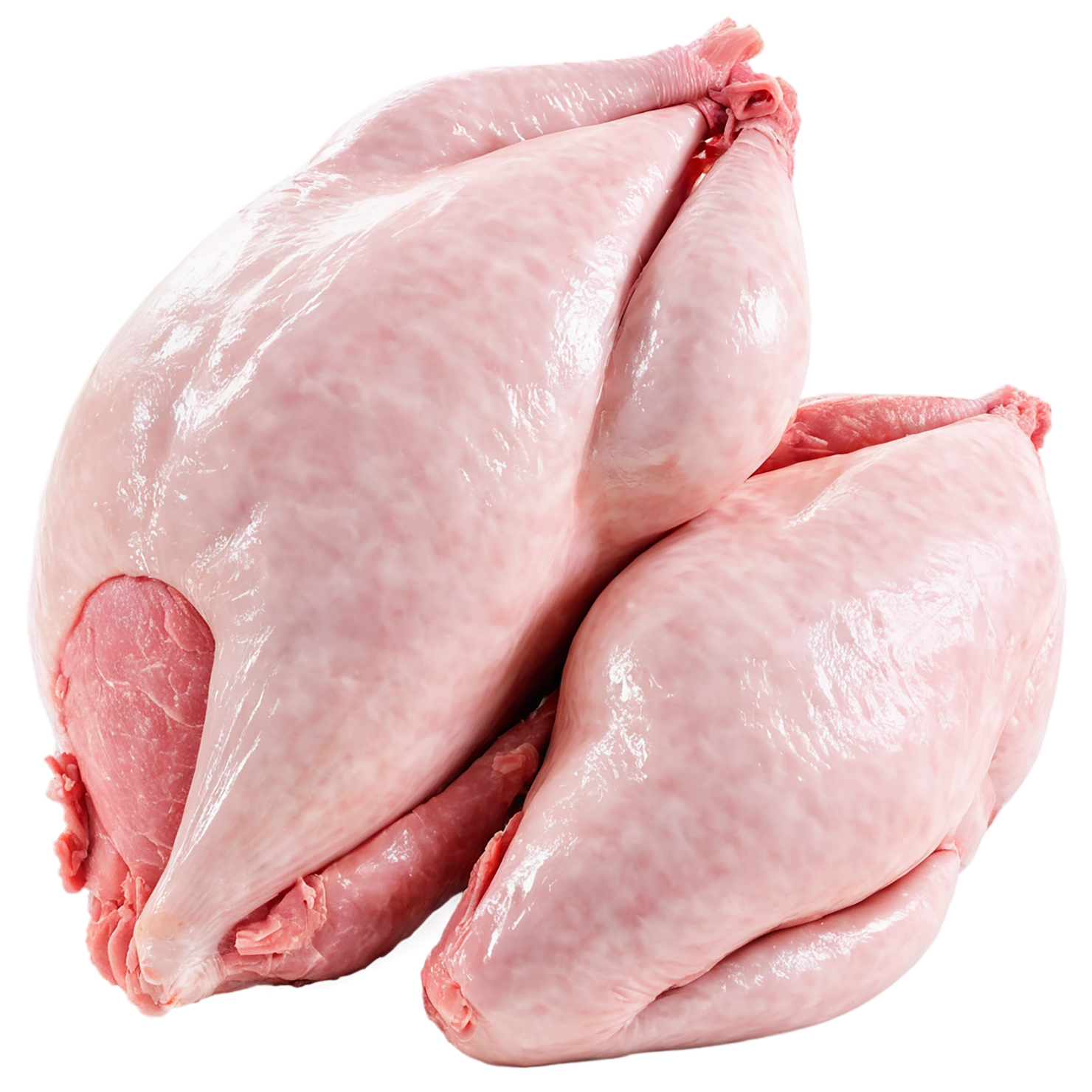 Chicken poultry proteins isolated on transparent background #8234