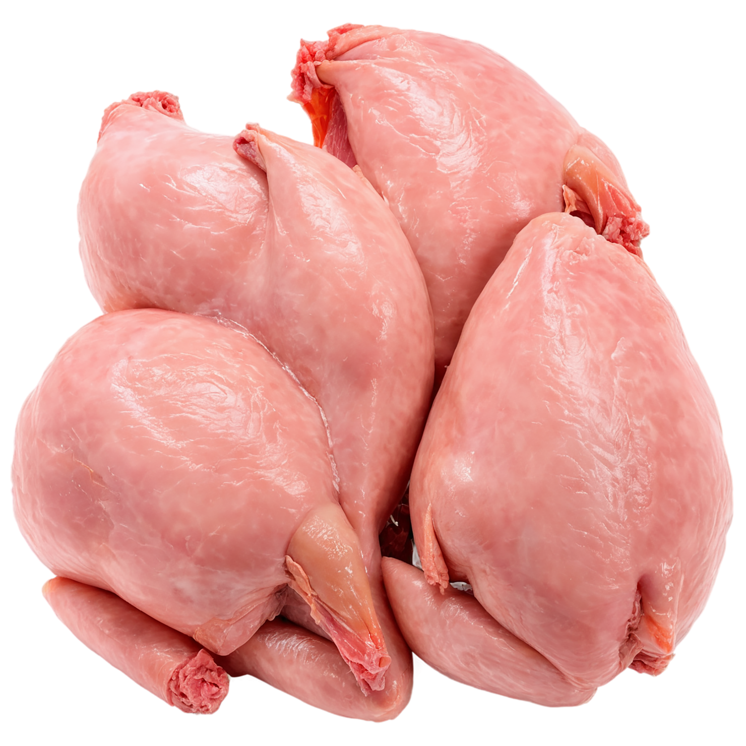 Chicken poultry proteins isolated on transparent background #8235