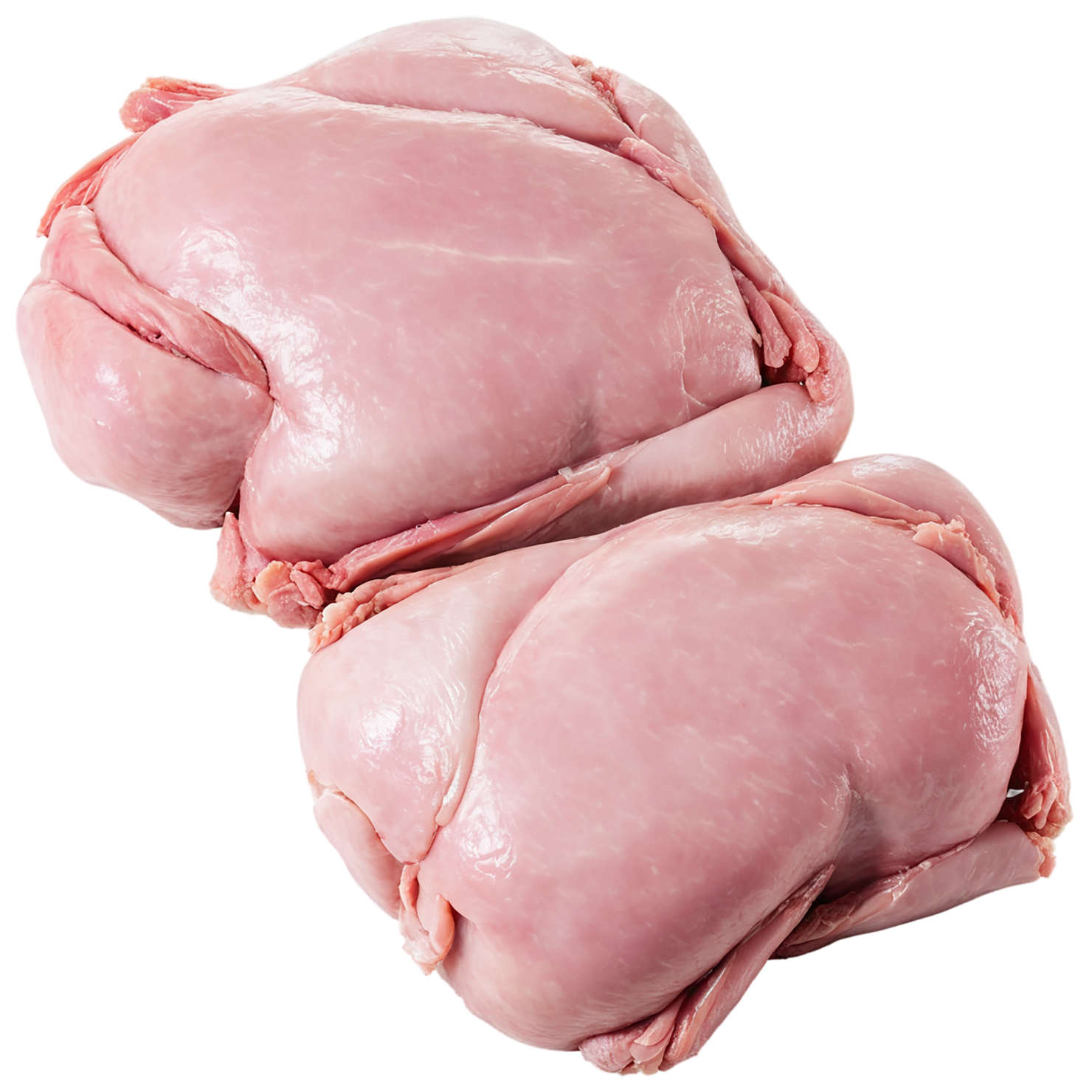 Chicken poultry proteins isolated on transparent background #8237