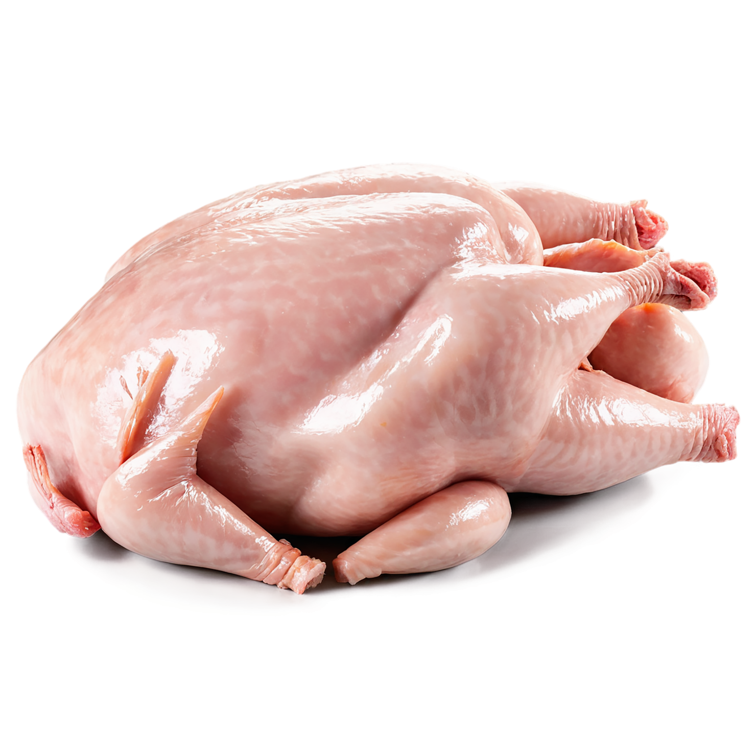 Chicken poultry proteins isolated on transparent background #8239
