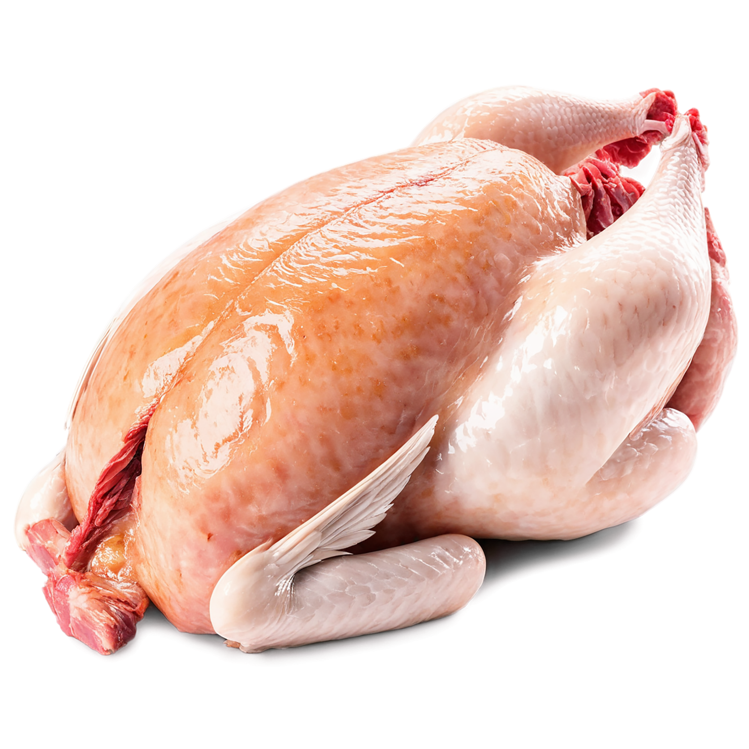 Chicken poultry proteins isolated on transparent background #8240