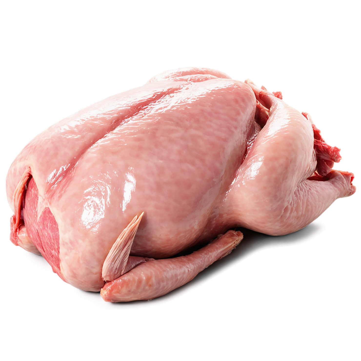 Chicken poultry proteins isolated on transparent background #8242