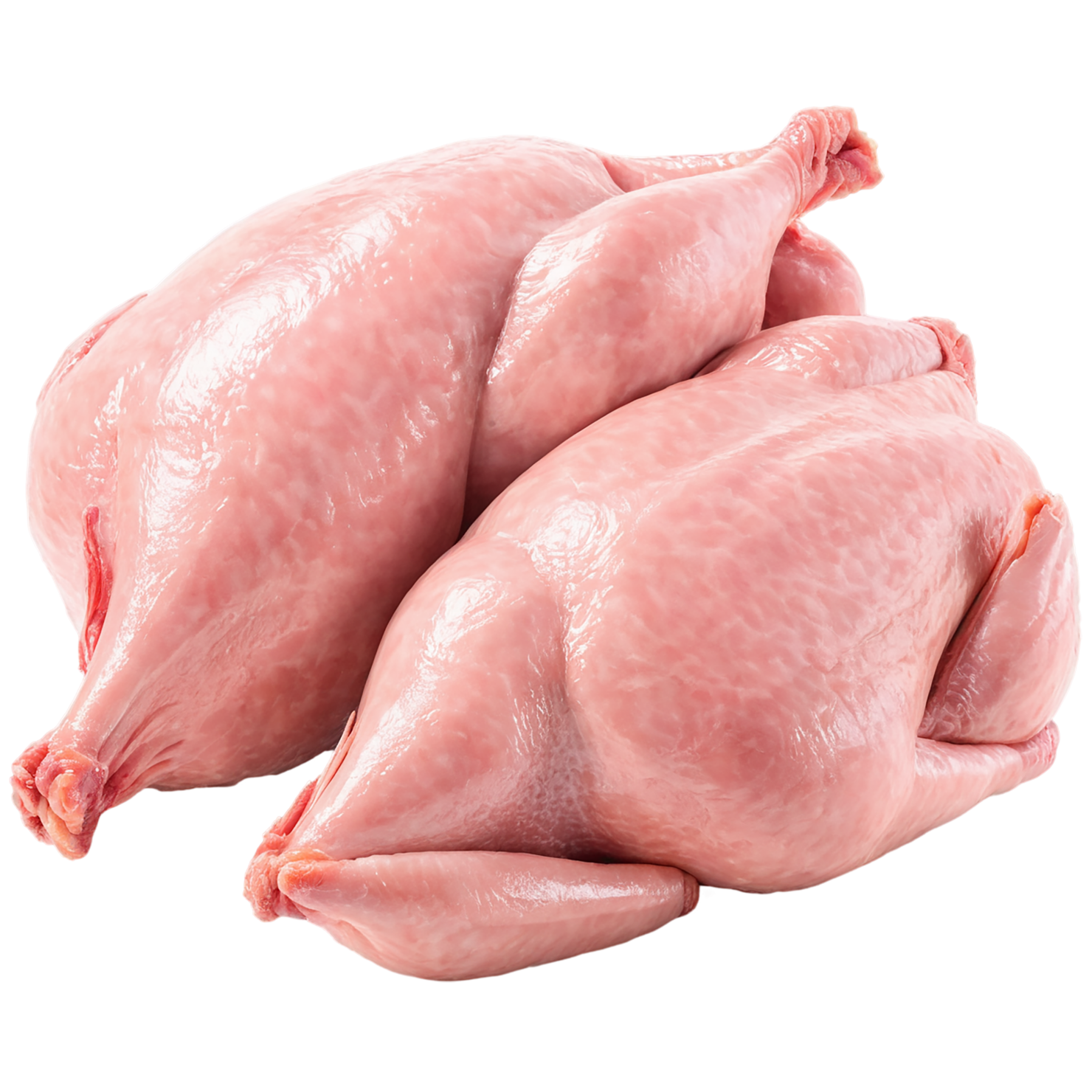 Chicken poultry proteins isolated on transparent background #8244