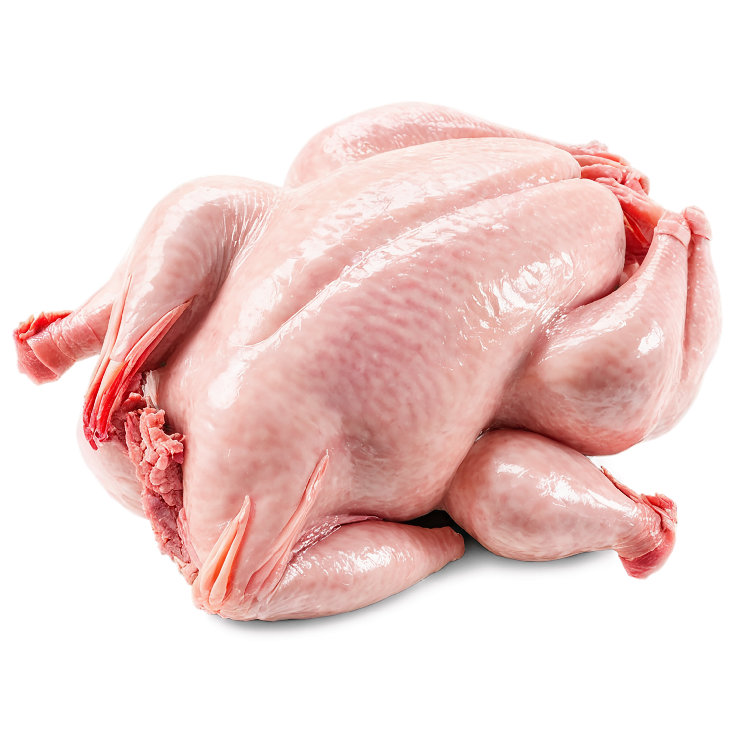Chicken poultry proteins isolated on transparent background #8245