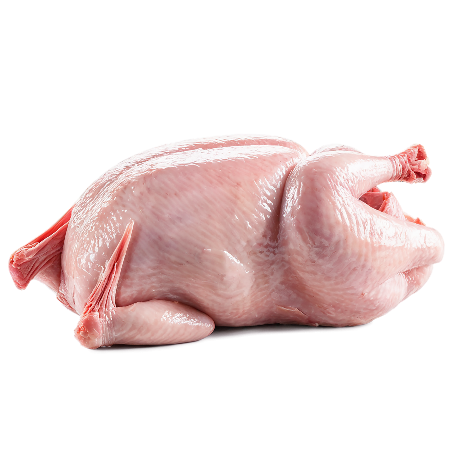 Chicken poultry proteins isolated on transparent background #8246
