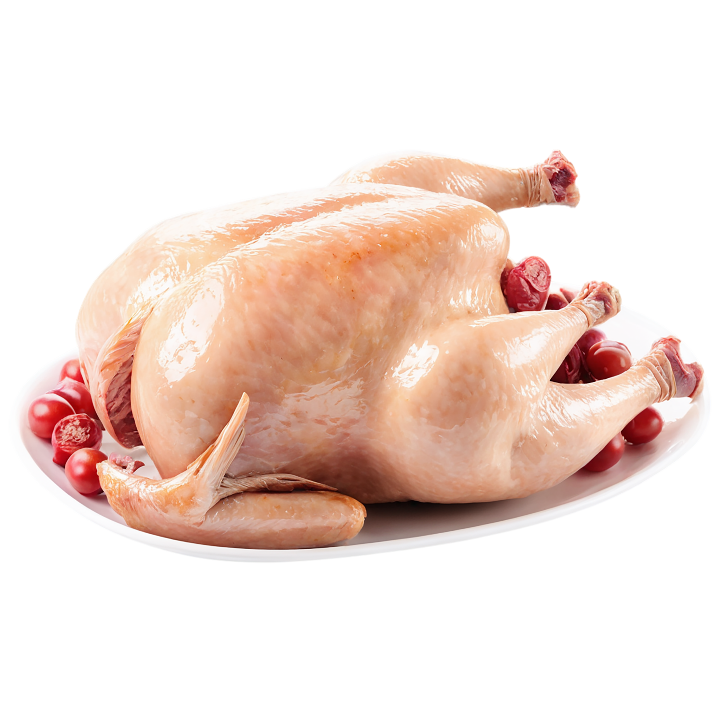 Chicken poultry proteins isolated on transparent background #8247