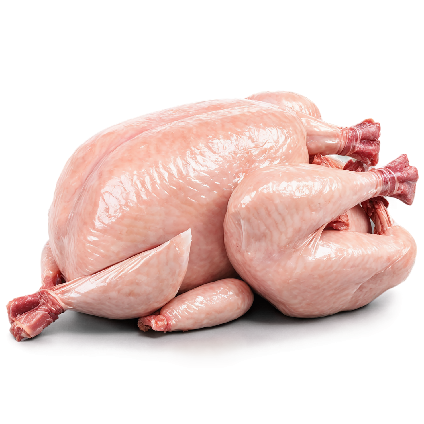 Chicken poultry proteins isolated on transparent background #8248