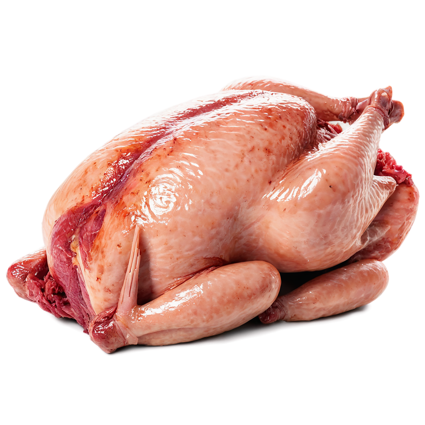 Chicken poultry proteins isolated on transparent background #8253