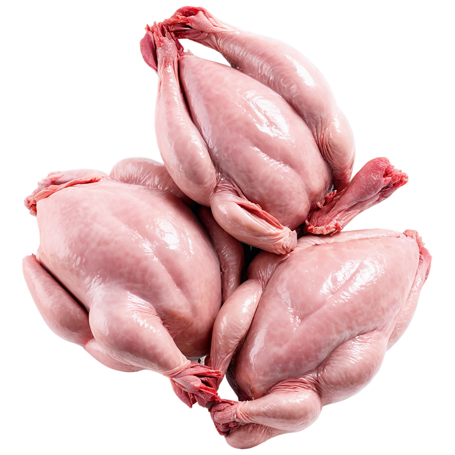 Chicken poultry proteins isolated on transparent background #8255