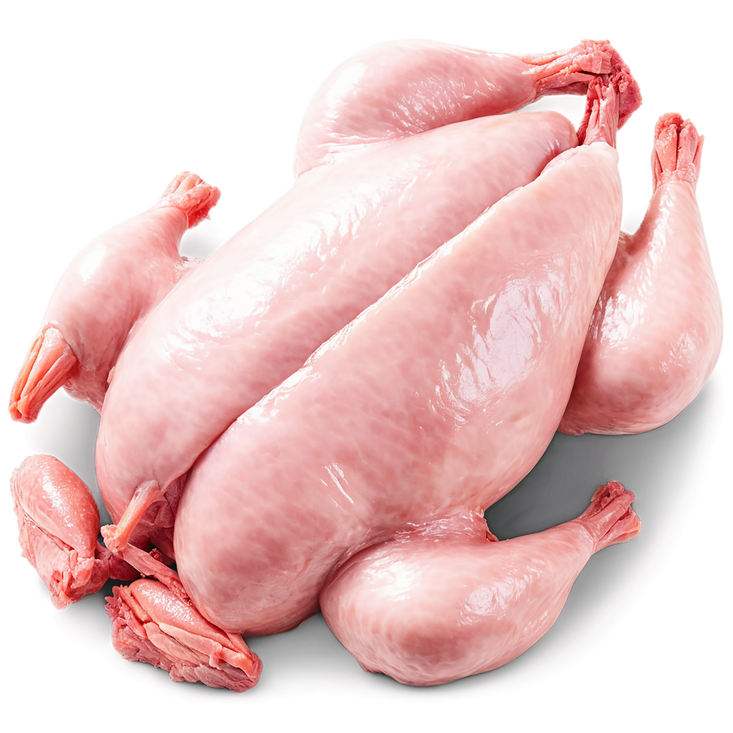 Chicken poultry proteins isolated on transparent background #8256