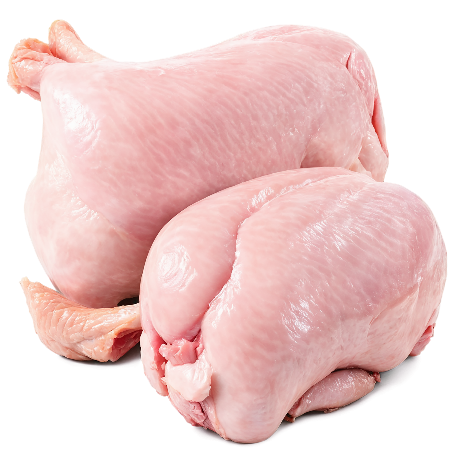 Chicken poultry proteins isolated on transparent background #8258
