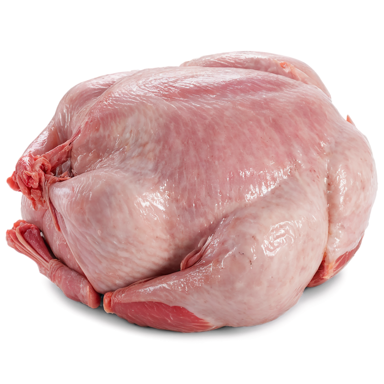 Chicken poultry proteins isolated on transparent background #8260