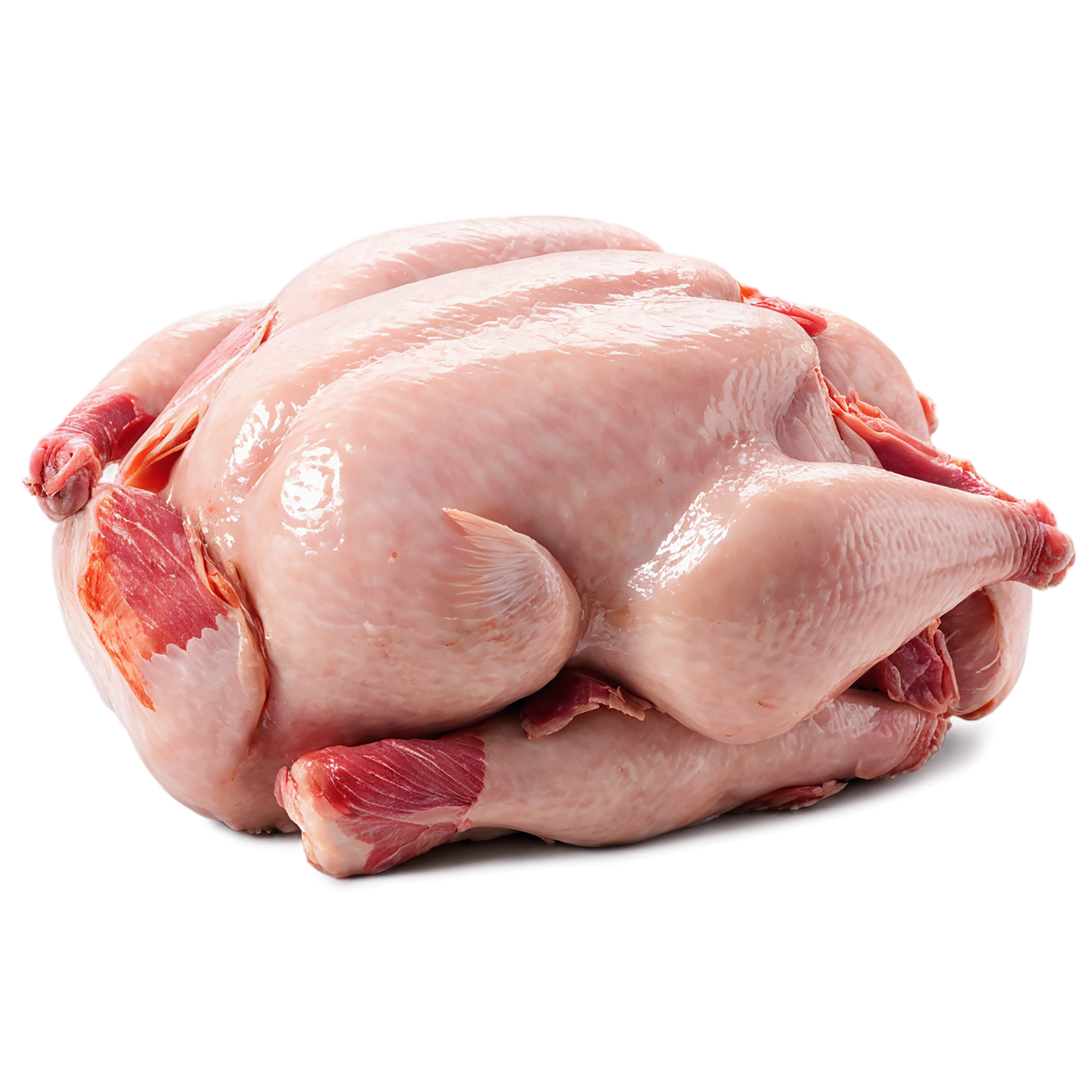 Chicken poultry proteins isolated on transparent background #8261