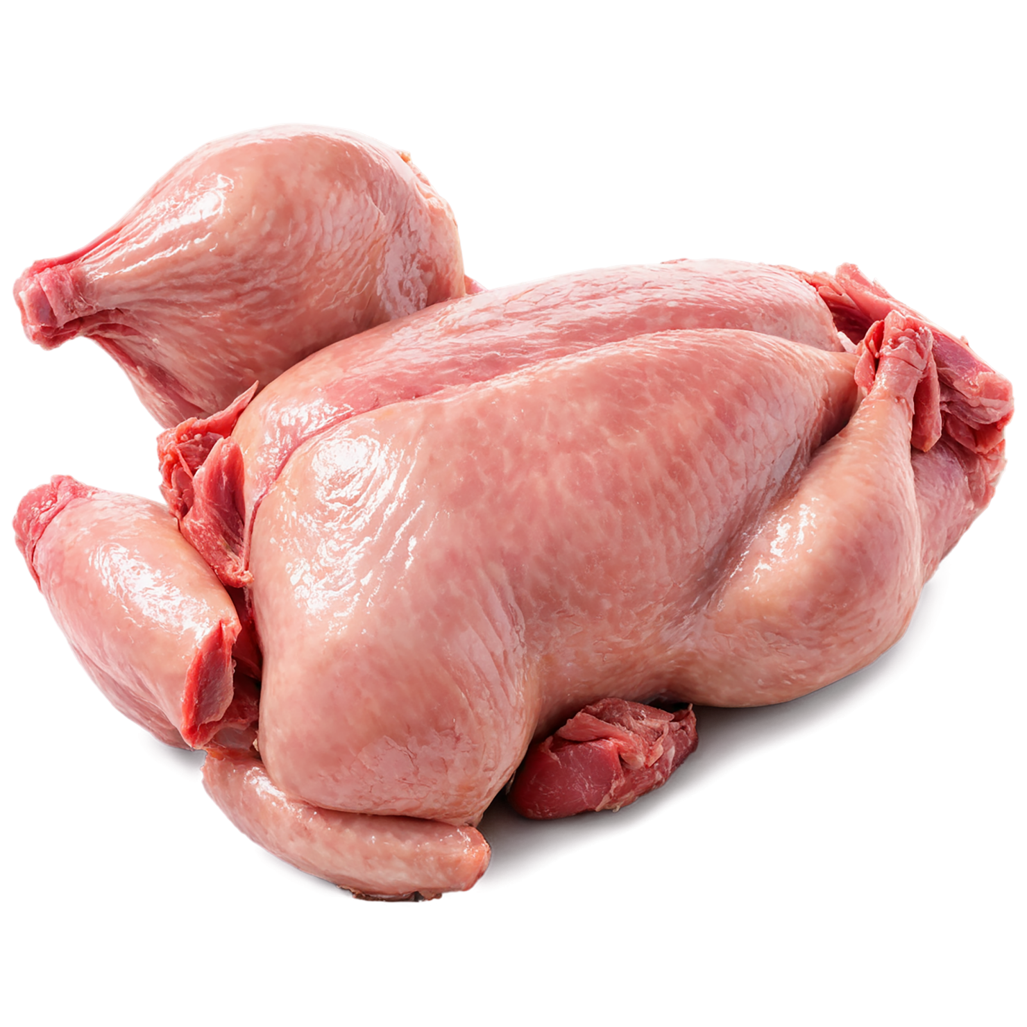 Chicken poultry proteins isolated on transparent background #8263